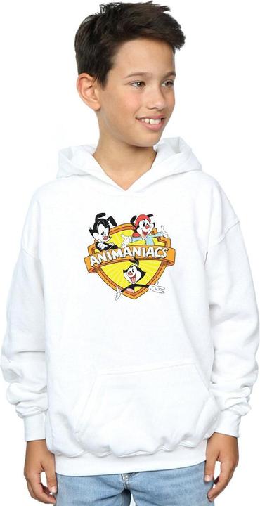 Actual product image Universal Textiles Boys Logo Crest Hoodie (116)