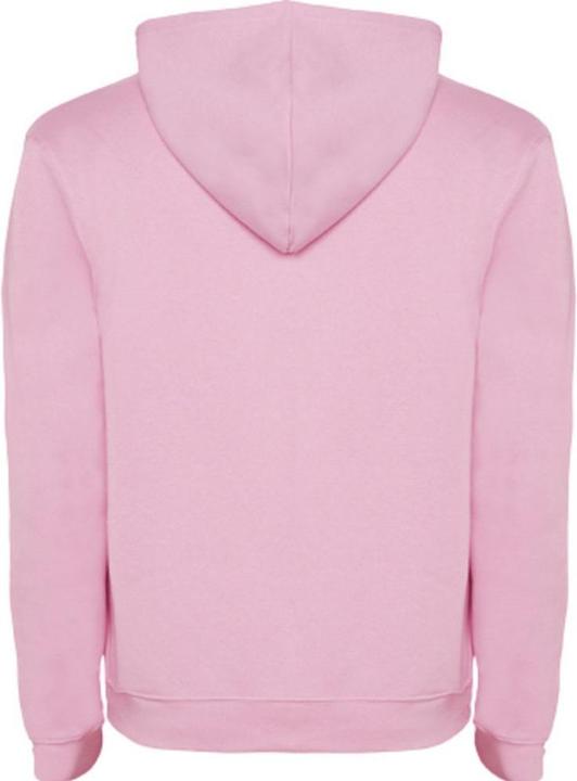 Actual product image Alpinia Mens Urban Hoodie (XS)