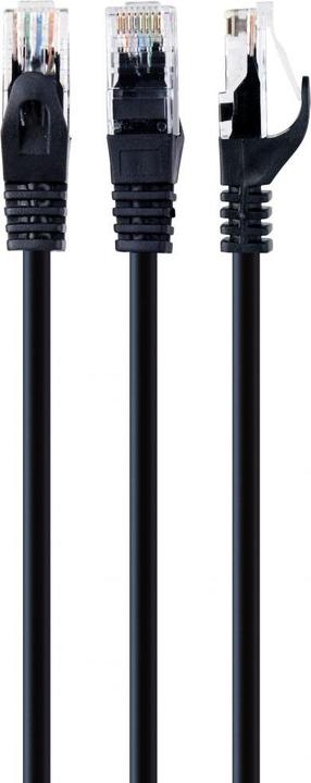 Actual product image Gembird Patch cable (UTP, CAT6, 0.25 m)