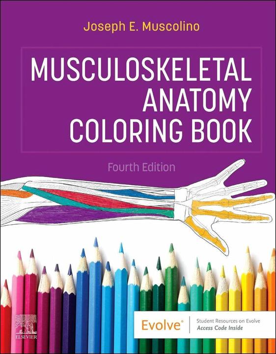 Image du produit Musculoskeletal Anatomy Colouring Book (Anglais, Joseph E. Muscolino, 2023)