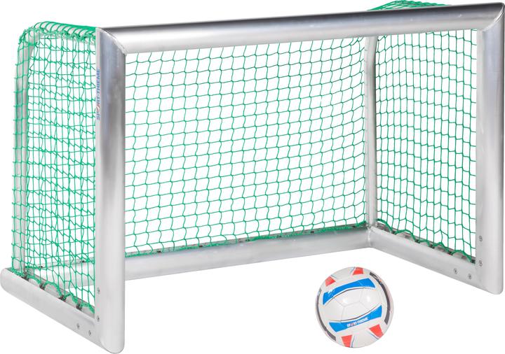 Sport-Thieme Mini-Trainingstor Professional Kompakt, Alu-Naturblank