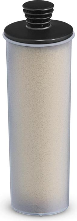 Actual product image Kärcher Descaling cartridge SC 3