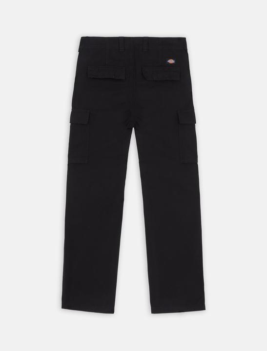 Actual product image Dickies Johnson Cargo Black (30)