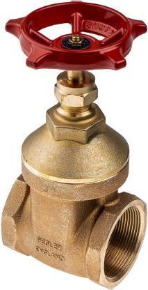 Actual product image Rs Pro Bronze gate valve,PN20,2in BSPT