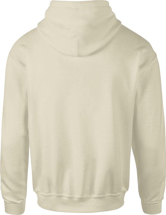 Actual product image Anthem - Sweat à capuche - Homme (S)