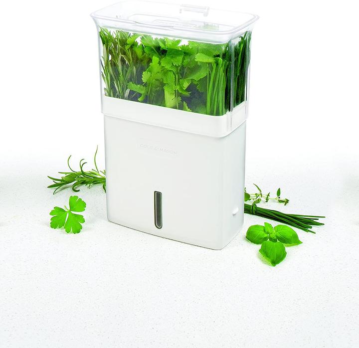 Produktbild Cole & Mason Frischhaltebox (0.38 l)