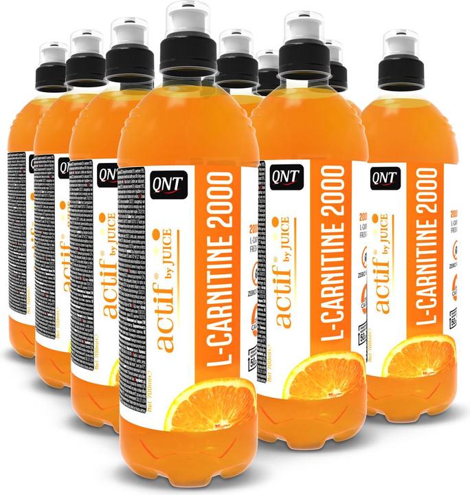 QNT L-Carnitine Orange (Orange, 12 x)