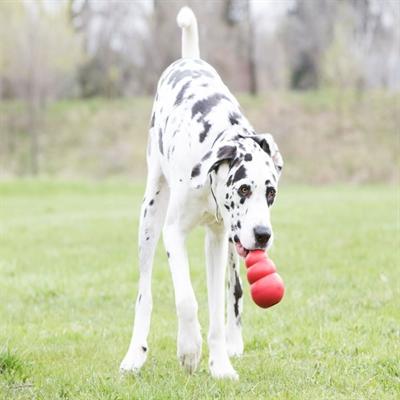 Actual product image KONG Classic (Retrieval, Dog food toy, Dog chew toy)