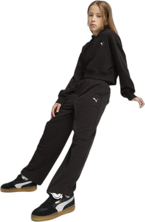 Image du produit Puma WARDROBE ESS Short Length Hoodie TR G (164)