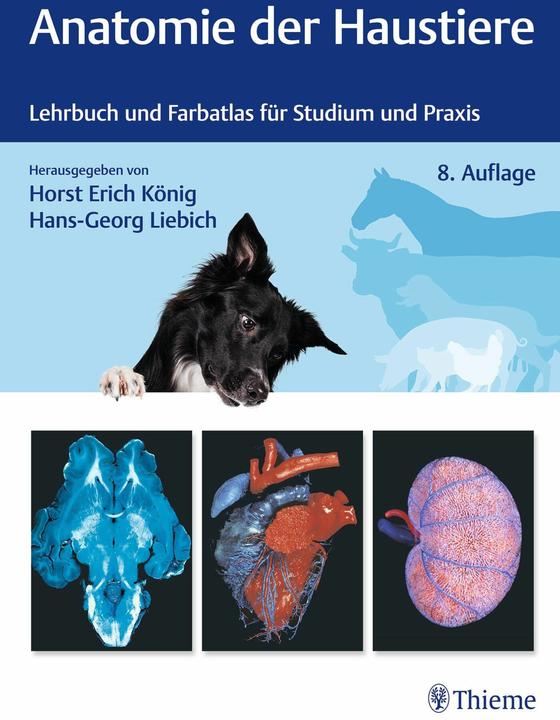 Produktbild Anatomie der Haustiere (Deutsch, Hans-Georg Liebich, Horst Erich König, 2024)