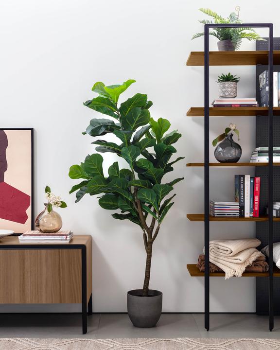 Actual product image Kave Home Ficus (150 cm)