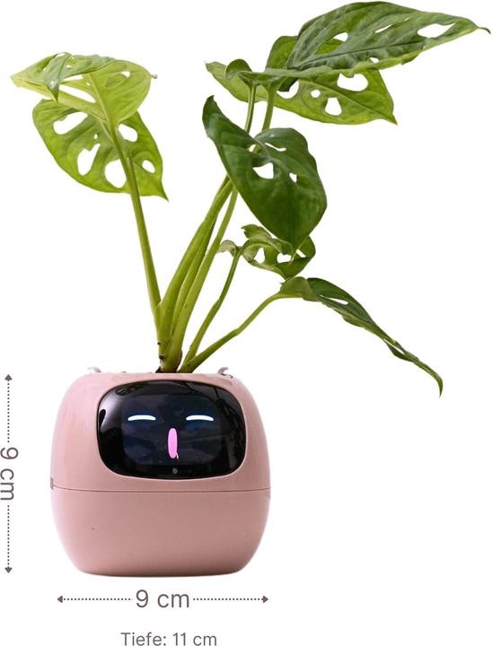 Actual product image Hermex Smart flower pot (11 cm)