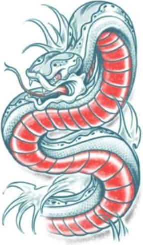 Image du produit Tinsley Transfers Tatouage de bras Serpent