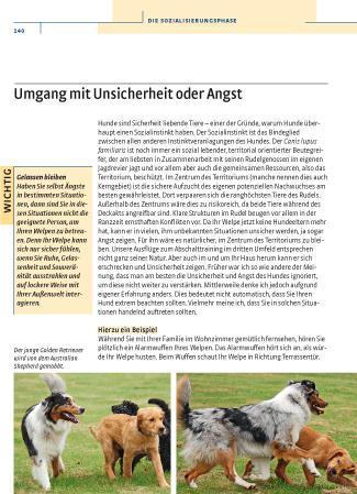 Produktbild Kosmos Vom Welpen zum Familienhund mit Natural Dogmanship (Deutsch, JAN, Nijboer, 2015)