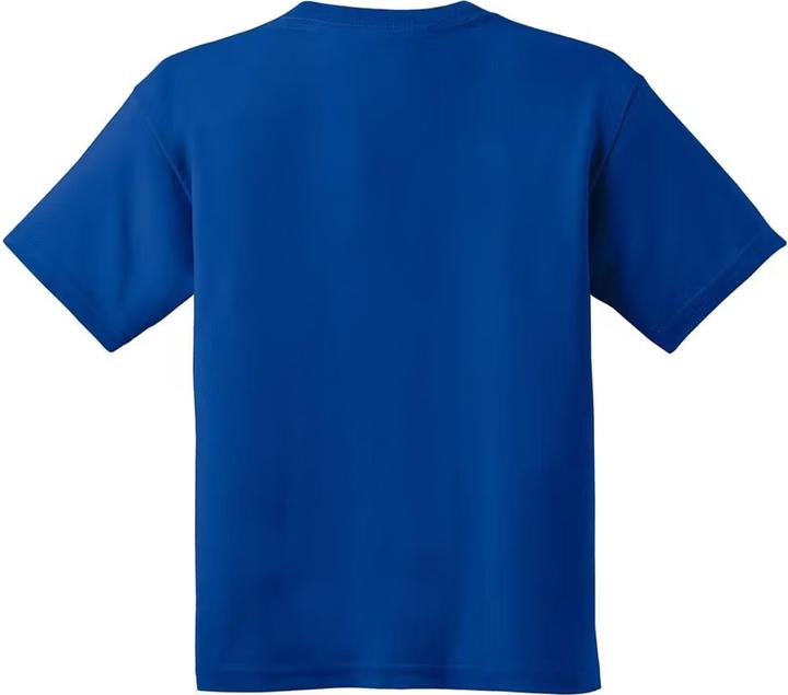 Image du produit Gildan Tee-shirt Softstyle (L)