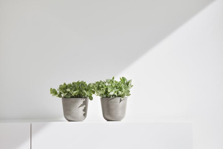 Actual product image Ecopots Oslo Mini (19 cm)