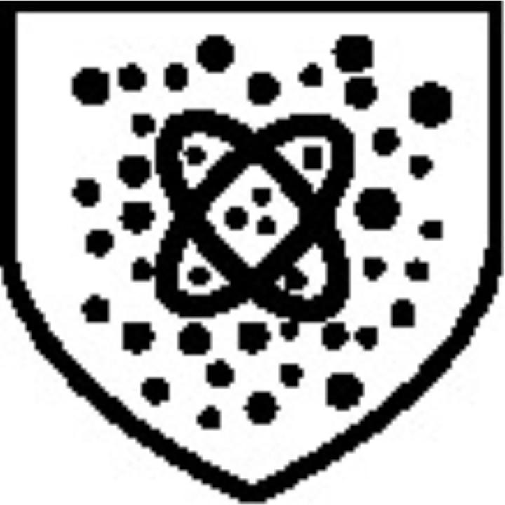 Produktbild Dupont Chemikalienschutzanzug (XL)