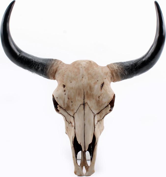 Produktbild Interstil Texas Longhorn