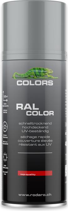 Image du produit Colors Bombe aérosol (Argent, 0.40 l)