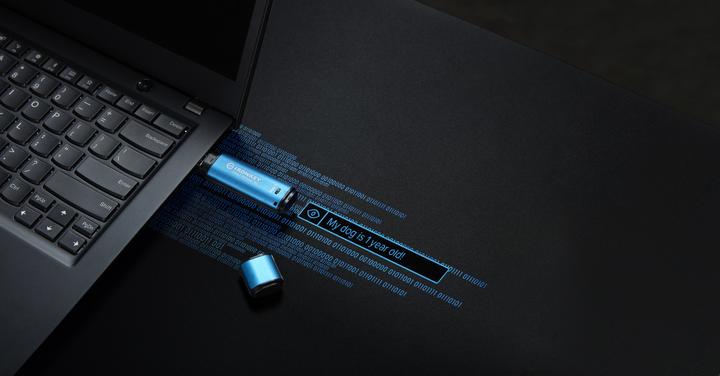 Actual product image Kingston IronKey Vault Privacy 50 (256 GB, USB 3.2, USB-A)