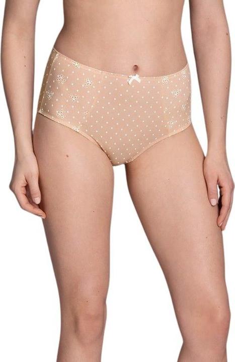 Actual product image Anita 's high-waisted briefs belvedere (46)