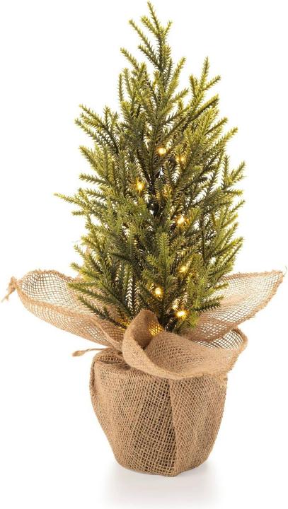 Actual product image STT Nordic Tree