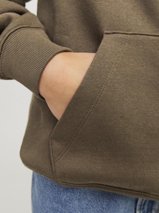 Image du produit Jack & Jones Imprimé Sweatshirt à capuche Pour les garçons Sweatshirt à capuche (176)