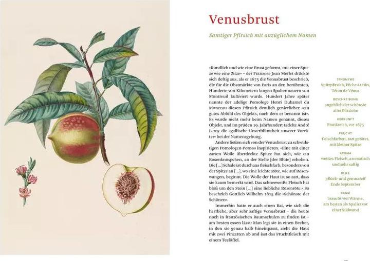 Produktbild Die alten Obstsorten (Deutsch, Sofia Blind, Staatsbibliothek zu Berlin, 2020)