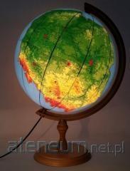 Produktbild No Name Globus Polnisch admin.-fiz. 32 cm (32 cm)