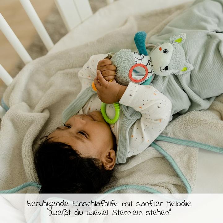 Image du produit Fehn Boîte à musique Mini DoBabyDoo renard, Matériau : tissu imprimé