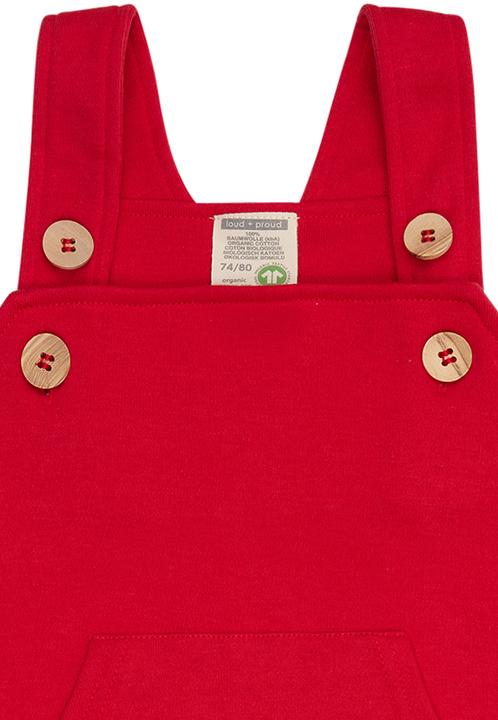 Actual product image loud + proud Dungarees (86)