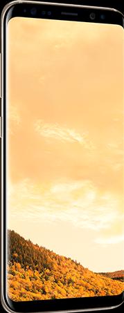 Actual product image Samsung Galaxy S8 Duos (64 GB, Maple Gold, 5.80", Hybrid Dual SIM, 12 Mpx, 4G)