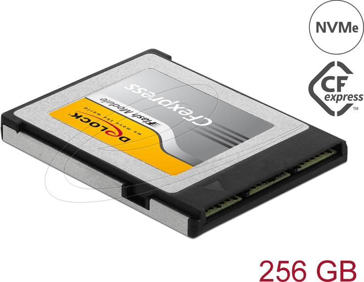 Produktbild Delock 54066 (256 GB, CF)