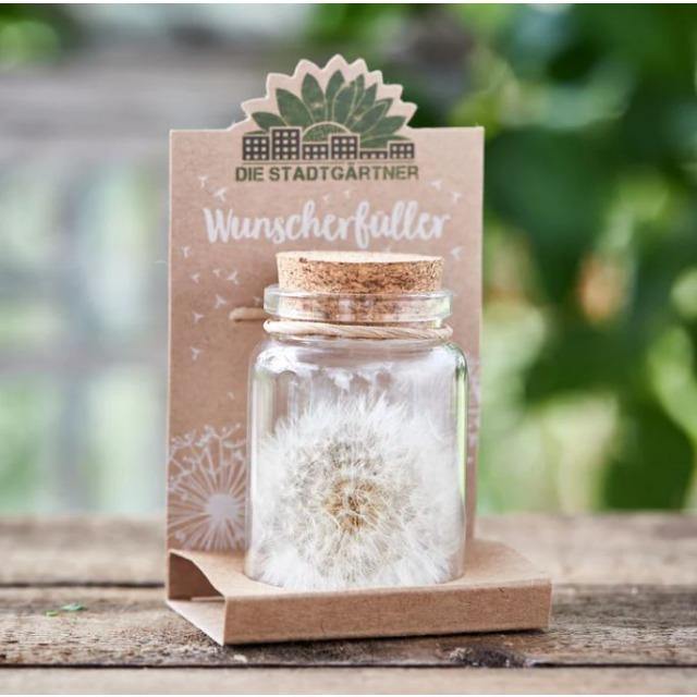 Actual product image Natura Punto Dandelion (Ø 4 x 8 cm)
