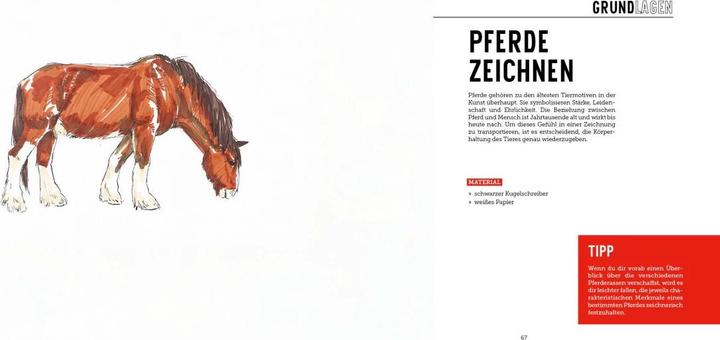 Image du produit Tiere zeichnen (2 Bücher im Bundle)