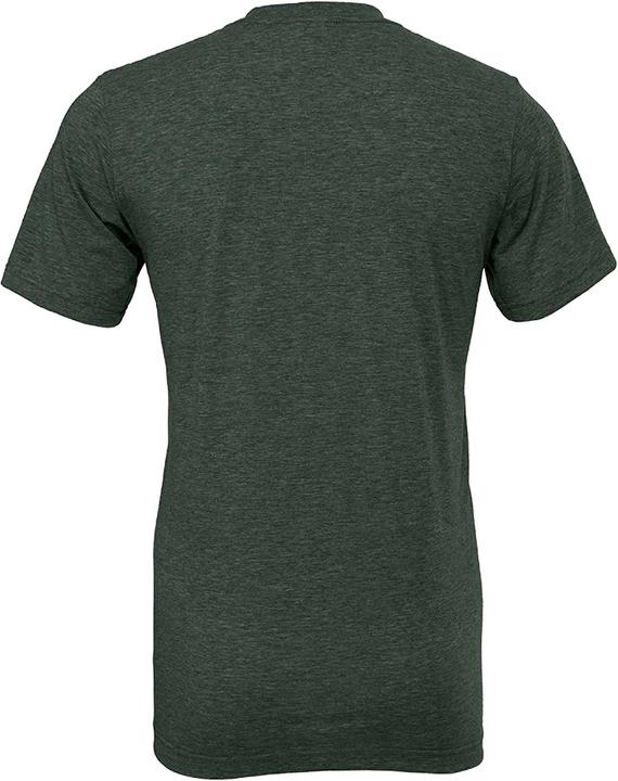 Actual product image Bella Canvas Cvc Tshirt Adult (L)