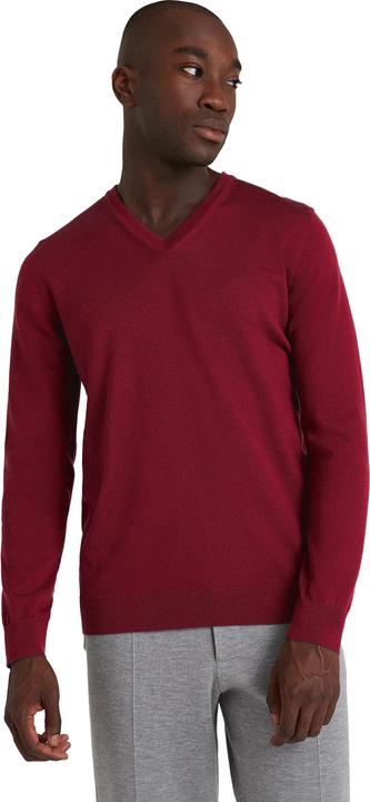 Actual product image Falke BA V-Neck m (S)
