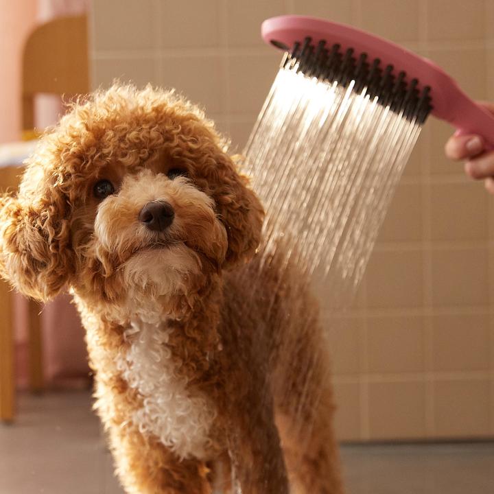 Actual product image hansgrohe DogShower dog shower 150 (3 spray types) (3 Beam types, 7.60 l/min)