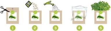 Produktbild Jamei Grow Bag Basilikum (Kräutersamen)