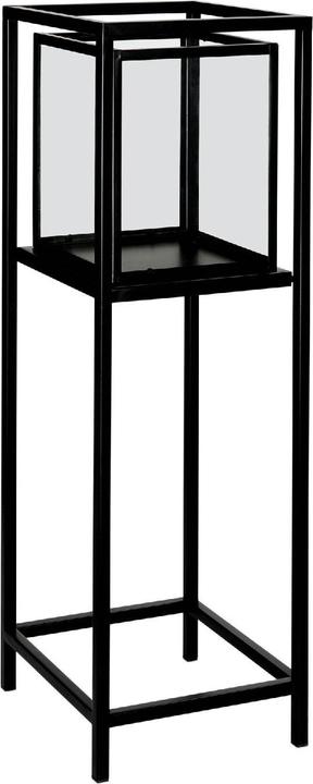 Actual product image Andrea Faos (1 x)