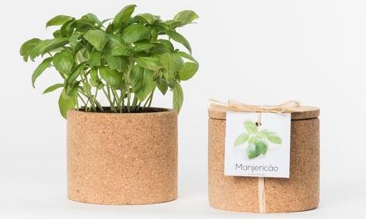 Actual product image Jamei Grow Cork Pot Basil (Herb seeds)
