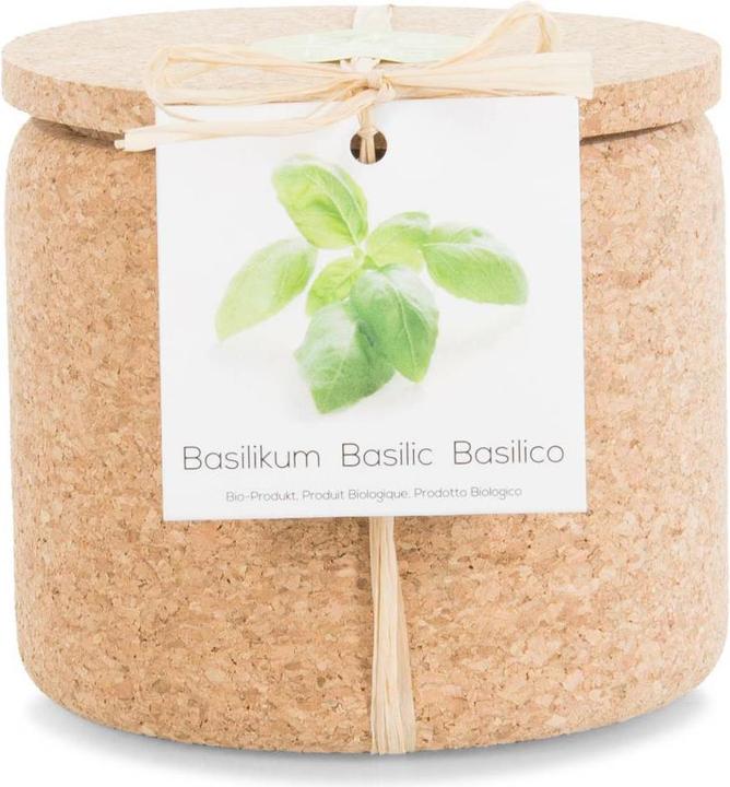 Actual product image Jamei Grow Cork Pot Basil (Herb seeds)