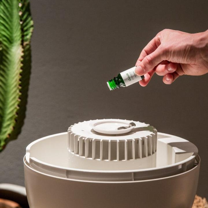 Actual product image Duux Ovi (30 m²)