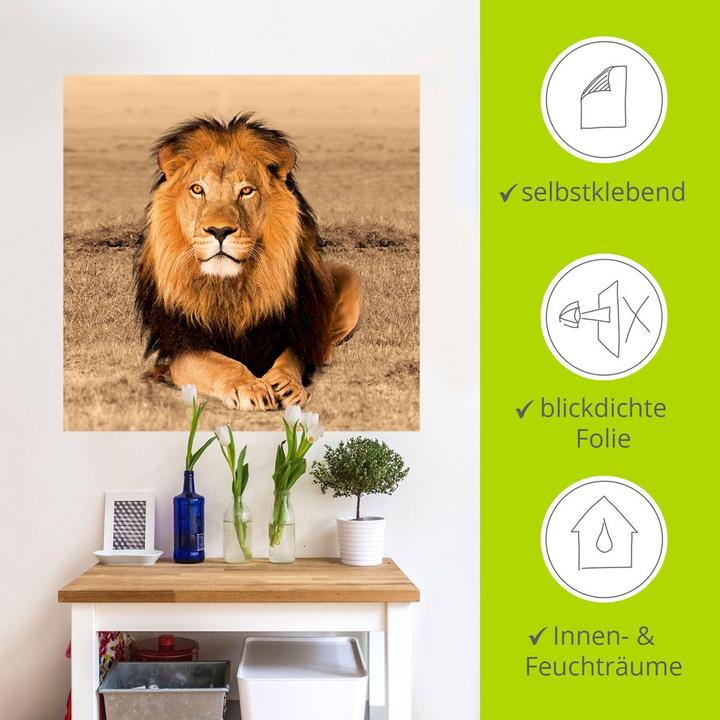 Image du produit Artland Lion T5RJ (50x50 cm)