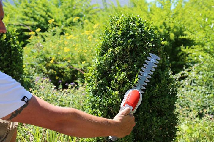 Actual product image Ikra IGBS 1054 (with bag& knife) (Cordless hedgecutters)
