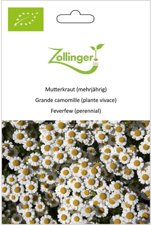Actual product image Zollinger Bio Motherwort (perennial)