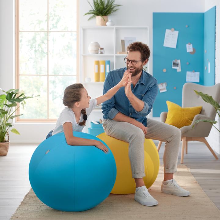 Image du produit Leitz Ballon-siège Ergo Cosy Active (65 cm)