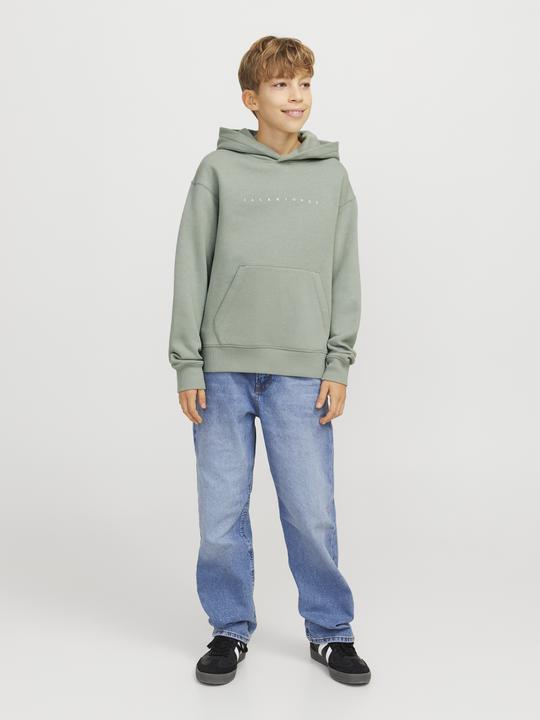 Produktbild Jack & Jones Jjestar Jj Sweat Hood Noos Jnr (152)