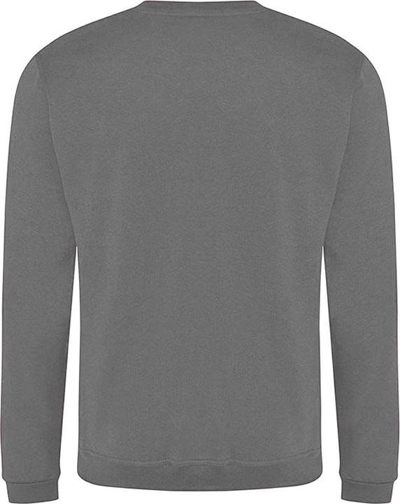 Image du produit Pro RTX Sweat-shirt (XXL)