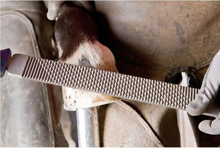 Image du produit Pferd Manche de lime FH6/1 pour maréchal-ferrant et râpe à maréchal-ferrant Forme ergonomique adaptée à (106 mm)